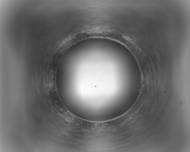 X0000063521350200601231505