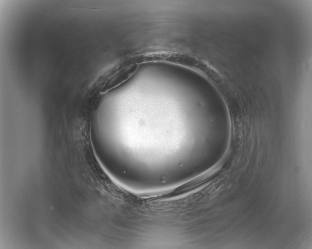 X0000063521351200601231505