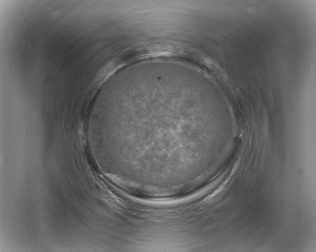 X0000063521353200601231505