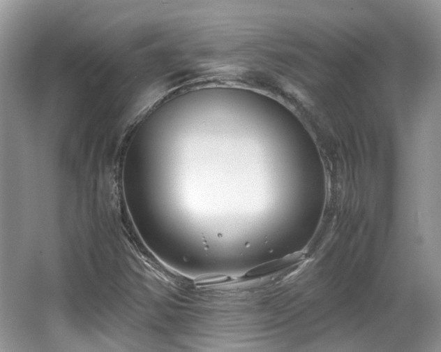 X0000063521354200601231505