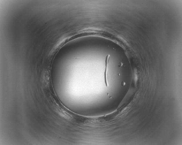 X0000063521355200601231505