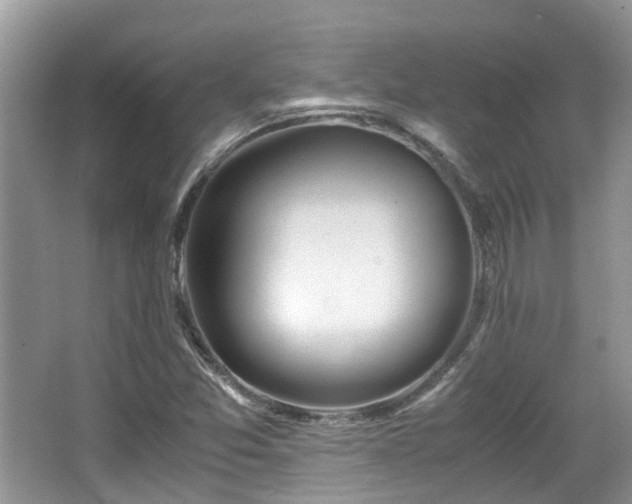 X0000063521357200601231505