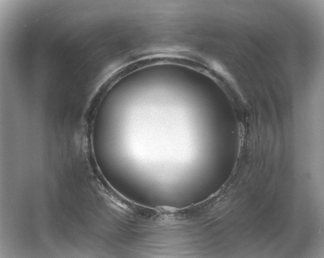 X0000063521360200601231505