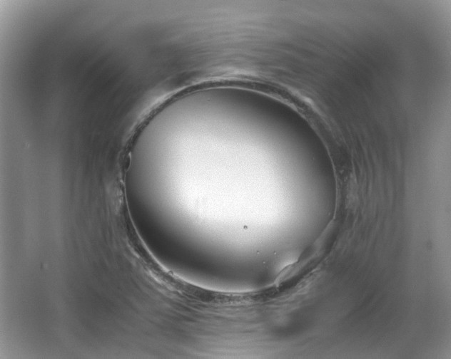 X0000063521363200601231505