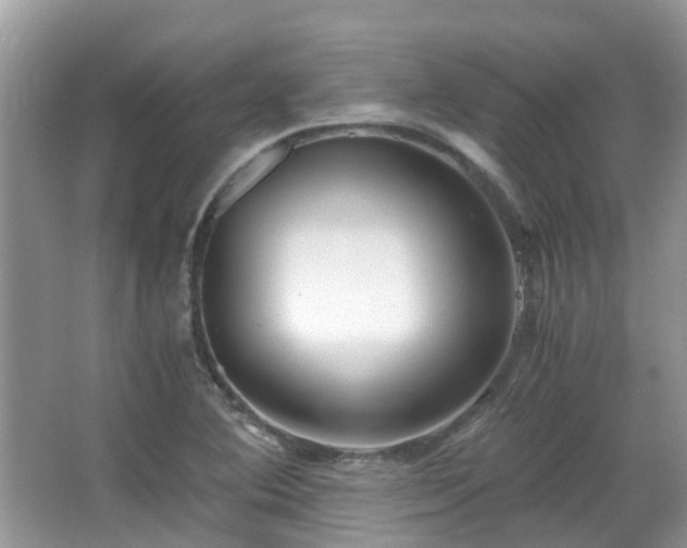 X0000063521364200601231505