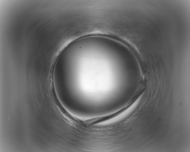 X0000063521367200601231504