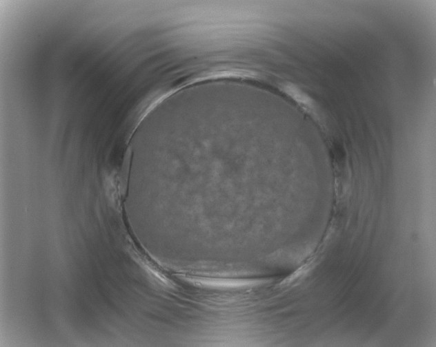 X0000063521369200601231504