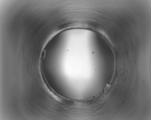 X0000063521379200601231504