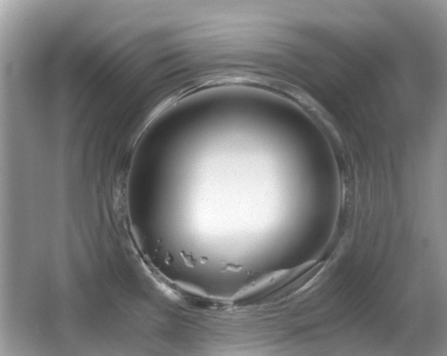 X0000063521385200601231504