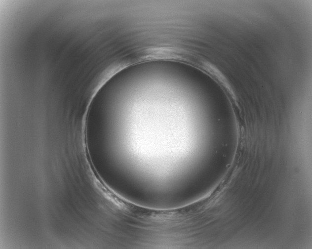 X0000063521386200601231504