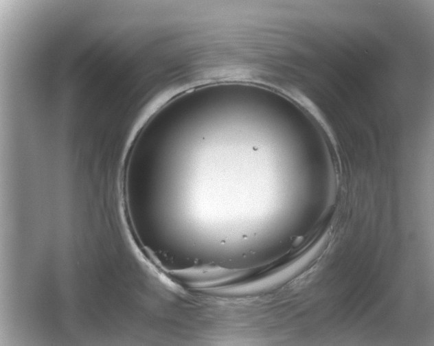 X0000063521389200601231504