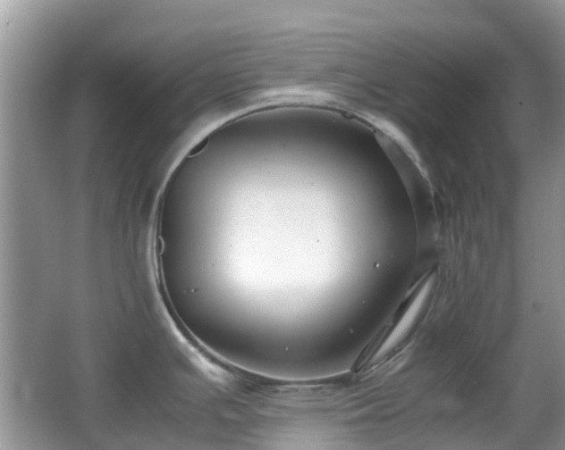 X0000063521391200601231504