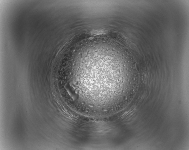 X0000063521393200601231503