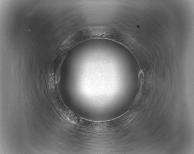 X0000063521394200601231503