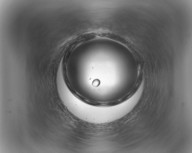 X0000063521398200601231503