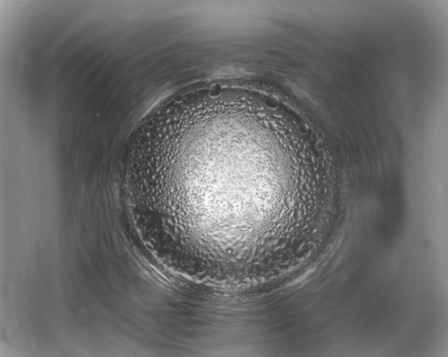 X0000063521401200601231503