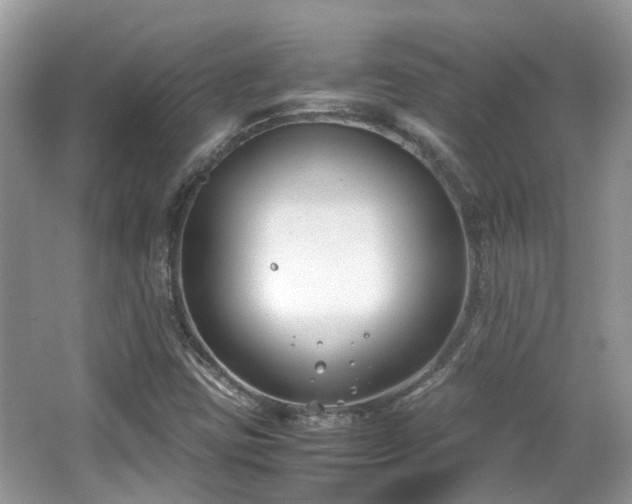 X0000063521403200601231503