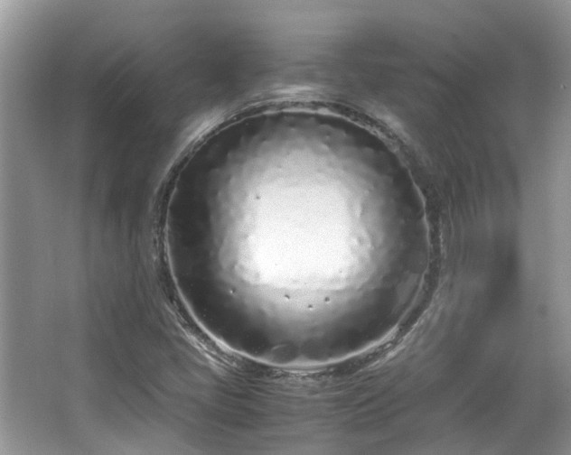 X0000063521405200601231503