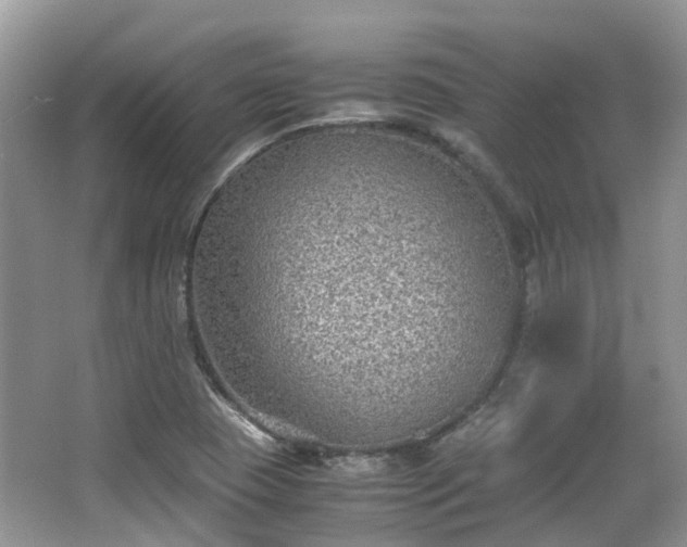 X0000063521409200601231503