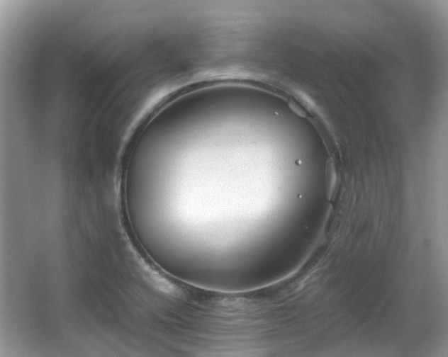 X0000063521416200601231504