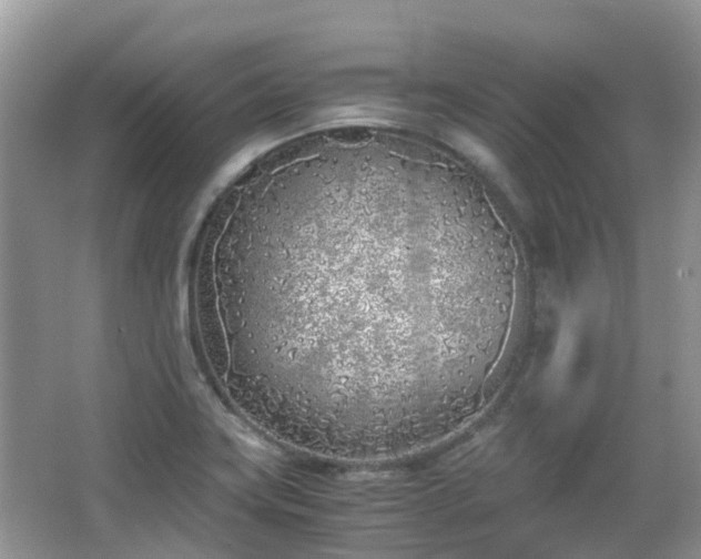 X0000063521419200601231504