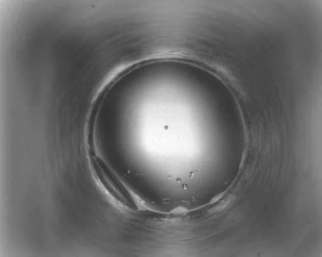 X0000063521422200601231504