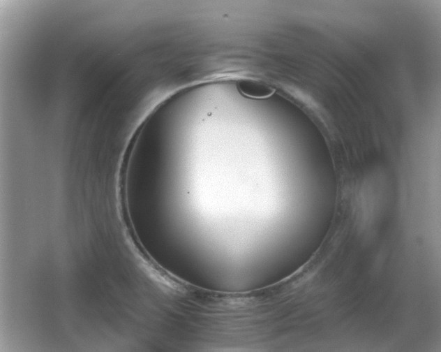 X0000063521423200601231504