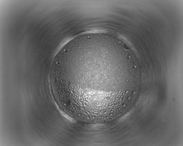 X0000063521425200601231504