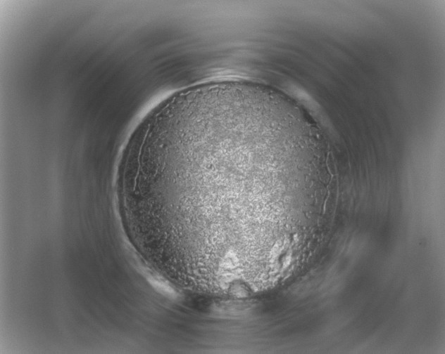 X0000063521427200601231504