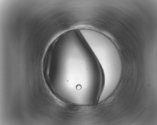 X0000063521430200601231504