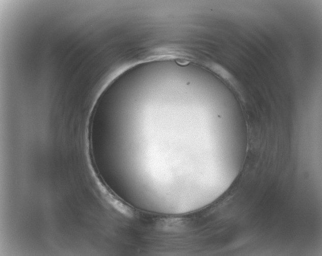 X0000063521431200601231504