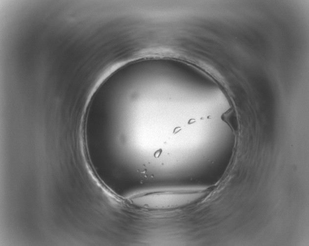 X0000063521440200601231504