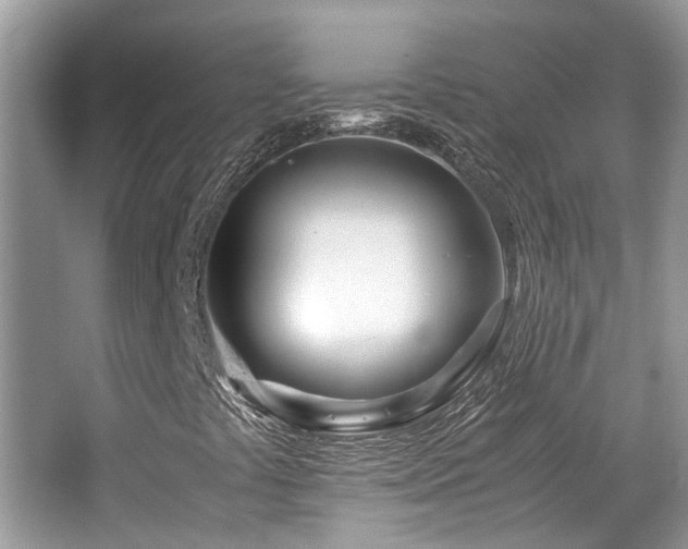 X0000063521441200601231503