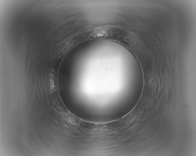 X0000063521442200601231503