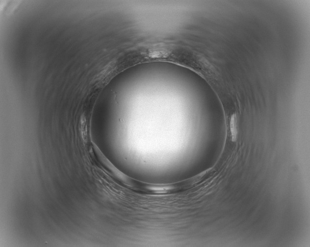 X0000063521443200601231503