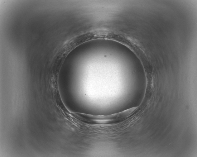 X0000063521445200601231503