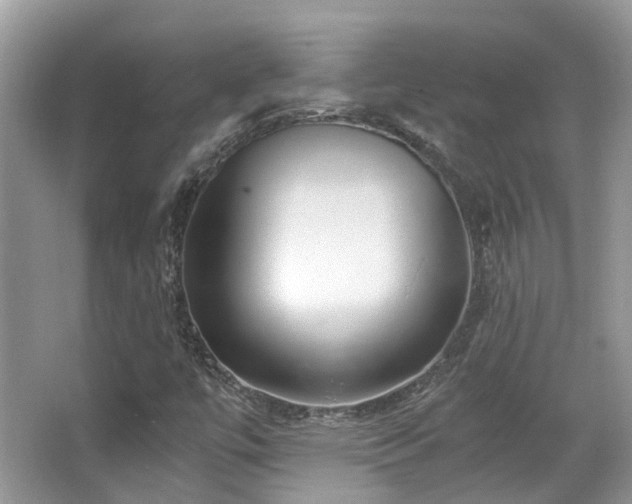 X0000063521447200601231503