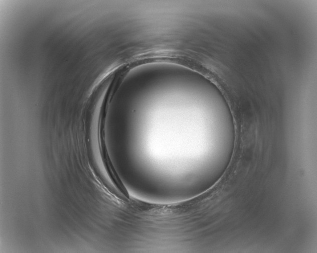 X0000063521450200601231503