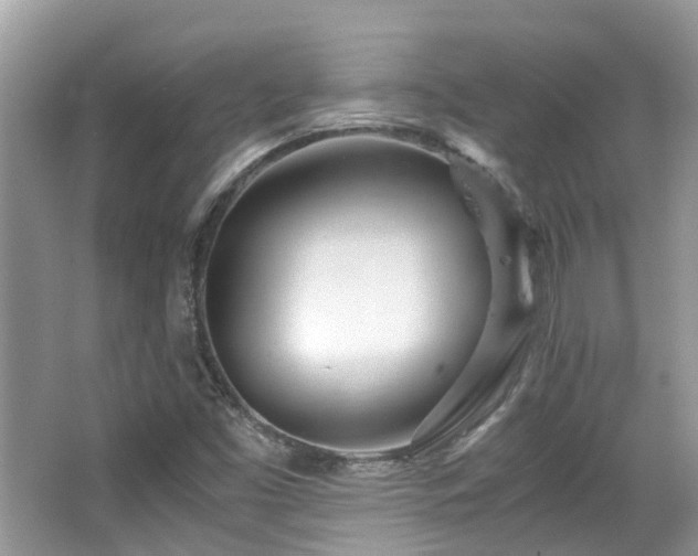 X0000063521453200601231503