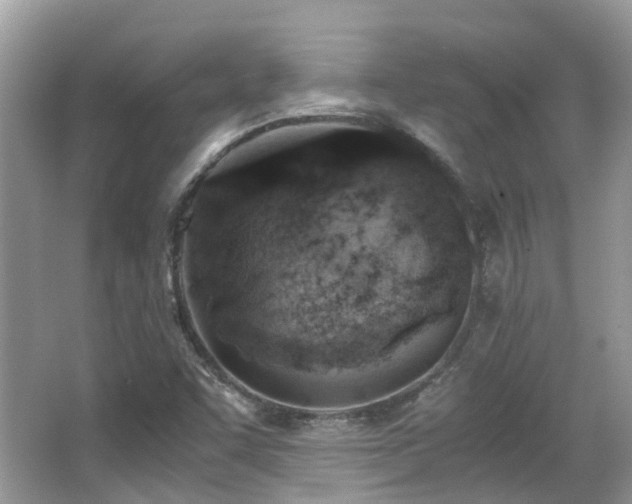 X0000063521455200601231503