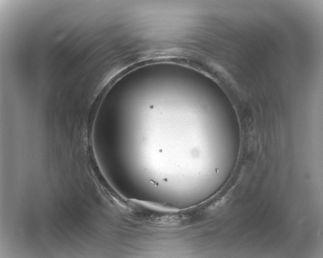 X0000063521457200601231503