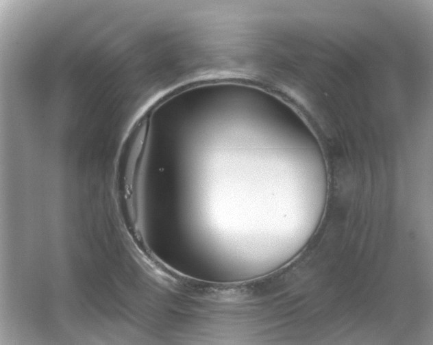 X0000063521460200601231503