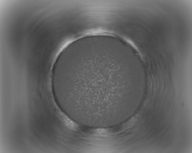 X0000063521463200601231503