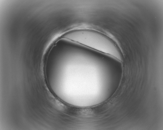 X0000063521464200601231503