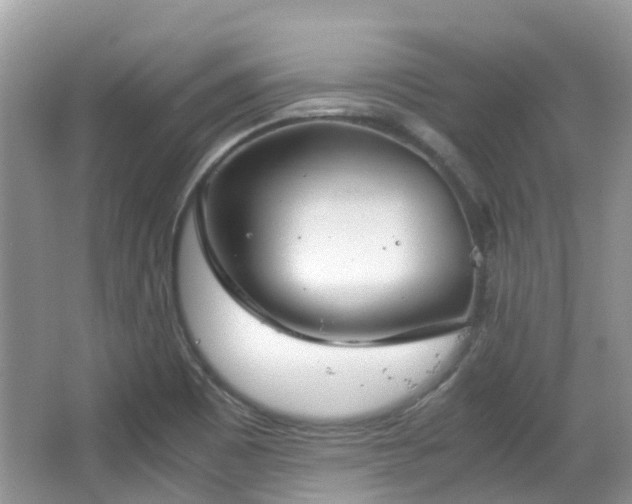 X0000063521465200601231503