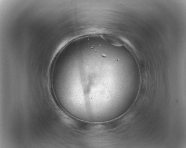 X0000063521467200601231503