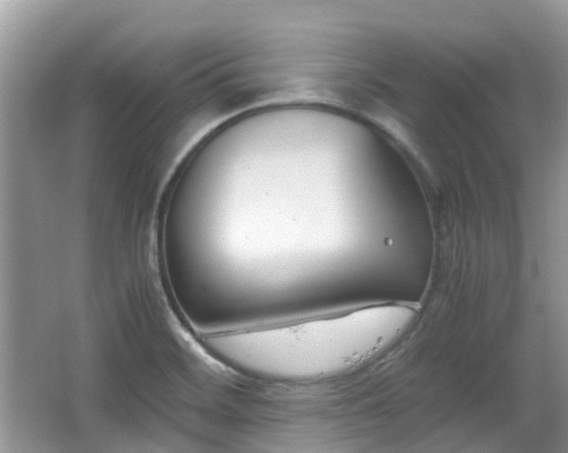 X0000063521468200601231503