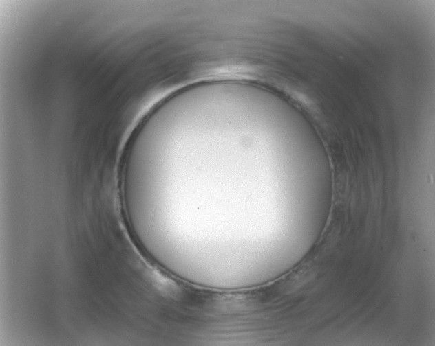 X0000063521470200601231503