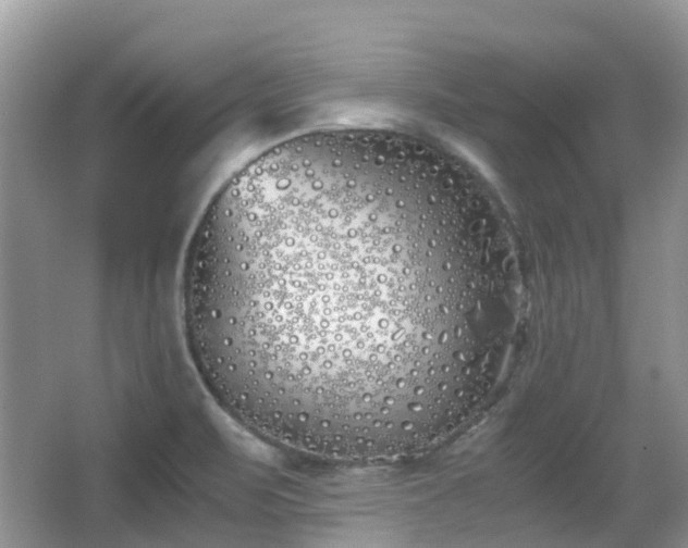 X0000063521471200601231503