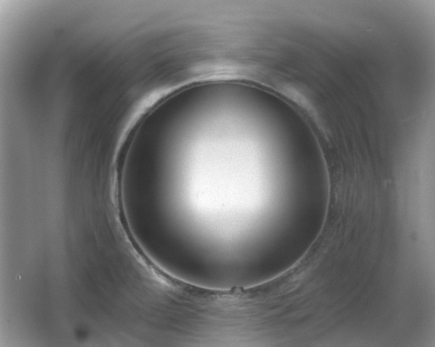 X0000063521472200601231503